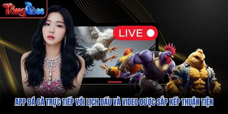 App đá gà trực tiếp với lịch đấu và video được sắp xếp thuận tiện