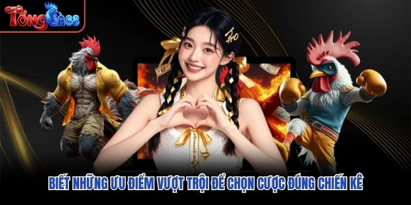 Biết những ưu điểm vượt trội để chọn cược đúng chiến kê
