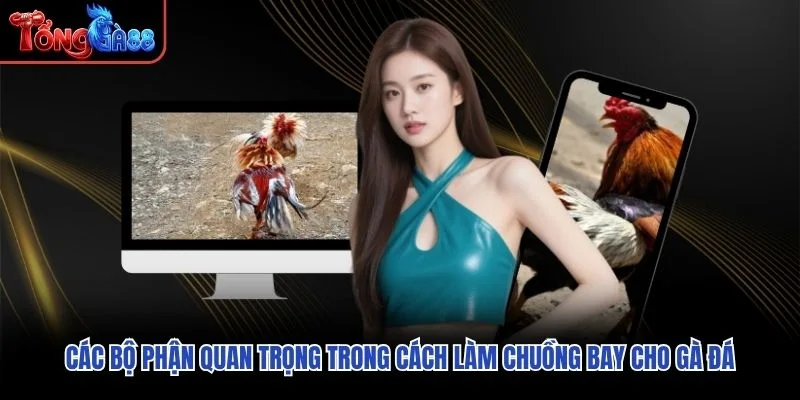 Các bộ phận quan trọng trong cách làm chuồng bay cho gà đá Các bộ phận quan trọng trong cách làm chuồng bay cho gà đá