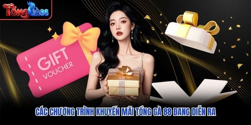 Các chương trình khuyến mãi Tổng Gà 88 đang diễn ra