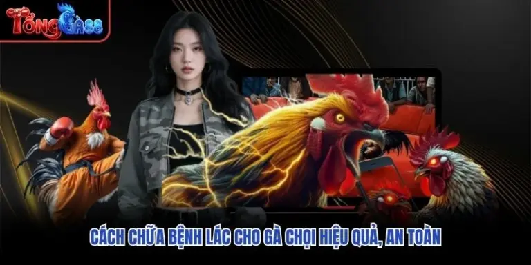 Cách Chữa Bệnh Lác Cho Gà Chọi Hiệu Quả, An Toàn