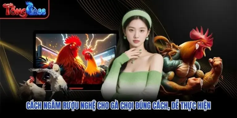 Cách Ngâm Rượu Nghệ Cho Gà Chọi Đúng Cách, Dễ Thực Hiện