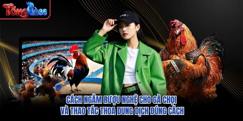 Cách ngâm rượu nghệ cho gà chọi và thao tác thoa dung dịch đúng cách