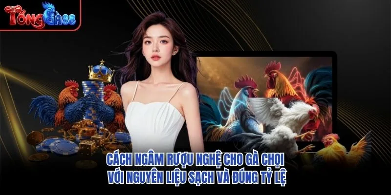 Cách ngâm rượu nghệ cho gà chọi với nguyên liệu sạch và đúng tỷ lệ