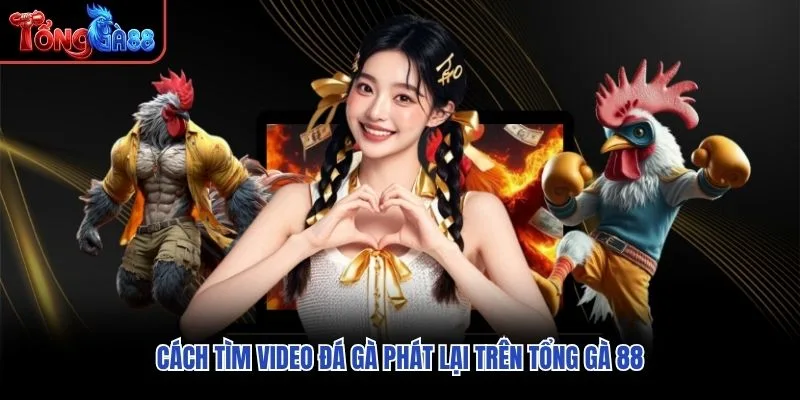Cách tìm video đá gà phát lại trên Tổng Gà 88