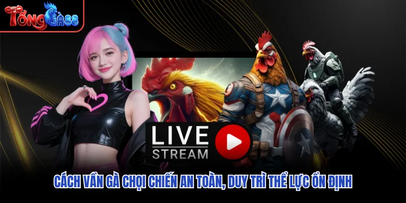 Cách Vần Gà Chọi Chiến An Toàn, Duy Trì Thể Lực Ổn Định