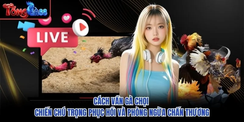 Cách vần gà chọi chiến chú trọng phục hồi và phòng ngừa chấn thương Cách vần gà chọi chiến chú trọng phục hồi và phòng ngừa chấn thương