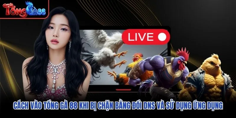 Cách vào Tổng Gà 88 khi bị chặn bằng đổi DNS và sử dụng ứng dụng Cách vào Tổng Gà 88 khi bị chặn bằng đổi DNS và sử dụng ứng dụng
