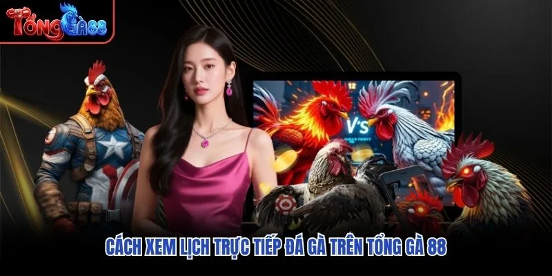 Cách xem lịch trực tiếp đá gà trên Tổng Gà 88