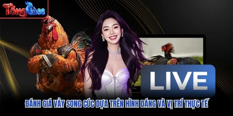 Đánh giá vảy song cúc dựa trên hình dáng và vị trí thực tế