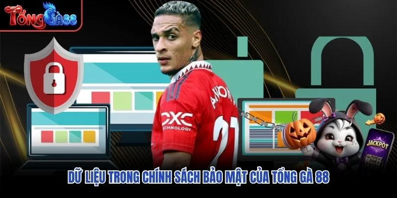 Dữ liệu trong chính sách bảo mật của Tổng Gà 88 Dữ liệu trong chính sách bảo mật của Tổng Gà 88