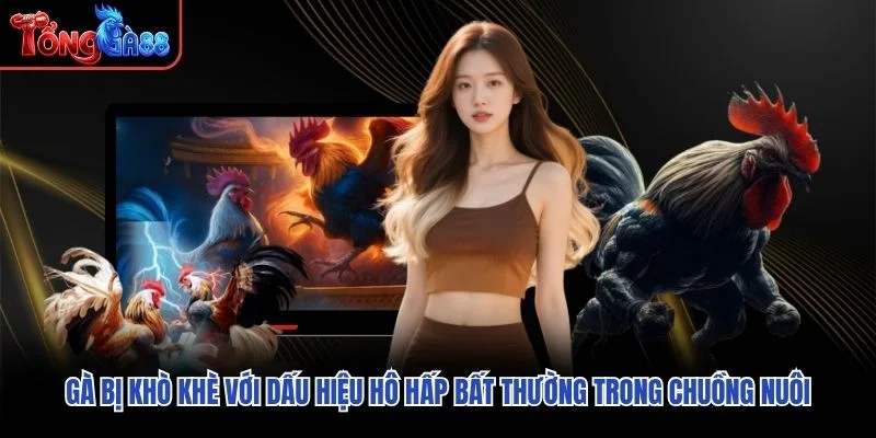 Gà bị khò khè với dấu hiệu hô hấp bất thường trong chuồng nuôi