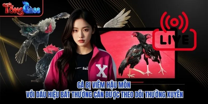 Gà bị viêm hậu môn với dấu hiệu bất thường cần được theo dõi thường xuyên Gà bị viêm hậu môn với dấu hiệu bất thường cần được theo dõi thường xuyên