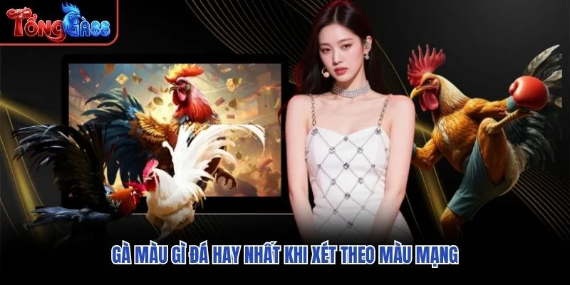 Gà màu gì đá hay nhất khi xét theo màu mạng