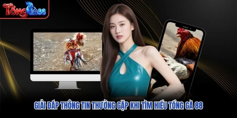 Giải đáp thông tin thường gặp khi tìm hiểu Tổng Gà 88