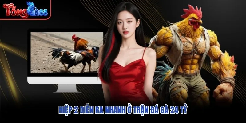 Hiệp 2 diễn ra nhanh ở trận đá gà 24 tỷ