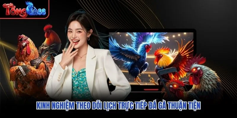 Kinh nghiệm theo dõi lịch trực tiếp đá gà thuận tiện