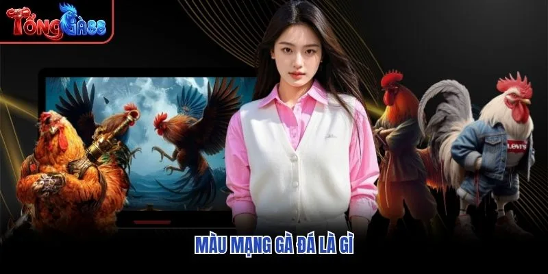 Màu mạng gà đá là gì