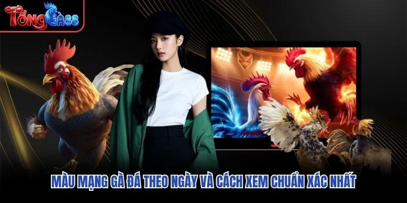 Màu Mạng Gà Đá Theo Ngày Và Cách Xem Chuẩn Xác Nhất