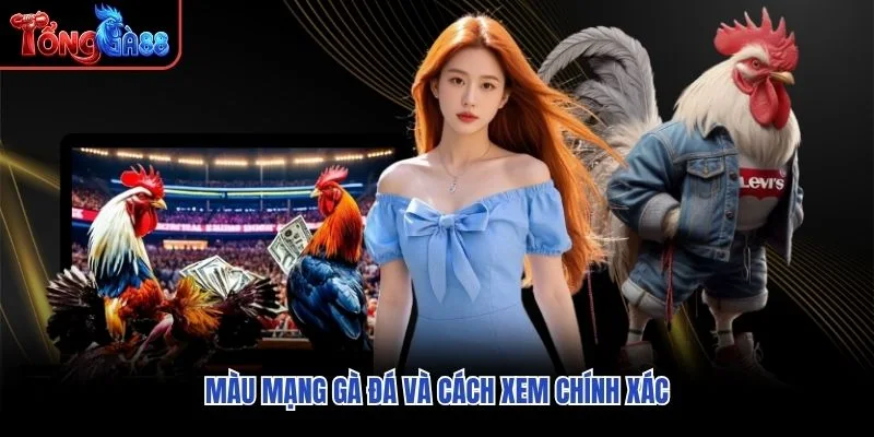 Màu mạng gà đá và cách xem chính xác