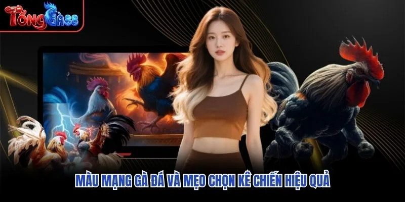 Màu mạng gà đá và mẹo chọn kê chiến hiệu quả