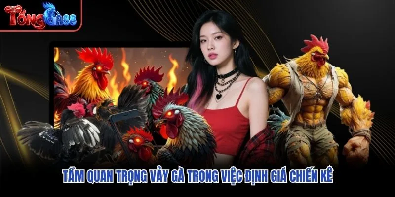 Tầm quan trọng vảy gà trong việc định giá chiến kê