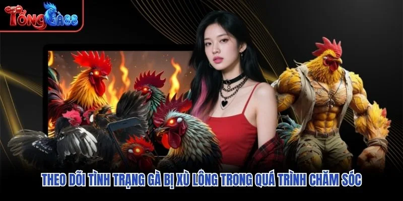 Theo dõi tình trạng gà bị xù lông trong quá trình chăm sóc Theo dõi tình trạng gà bị xù lông trong quá trình chăm sóc
