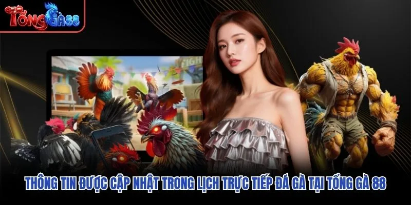 Thông tin được cập nhật trong lịch trực tiếp đá gà tại Tổng Gà 88