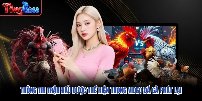 Thông tin trận đấu được thể hiện trong video đá gà phát lại