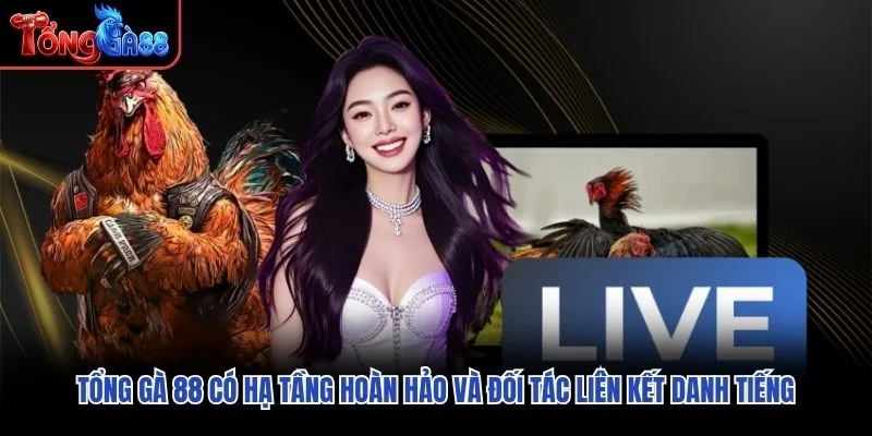 Tổng Gà 88 có hạ tầng hoàn hảo và đối tác liên kết danh tiếng