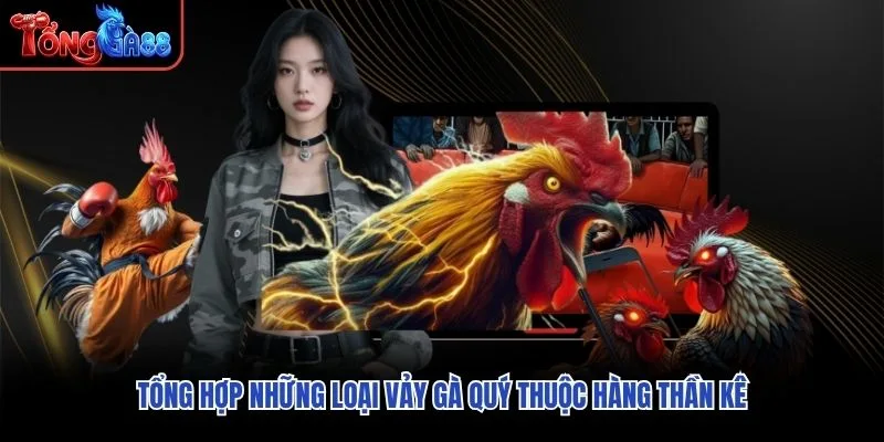 Tổng hợp những loại vảy gà quý thuộc hàng thần kê
